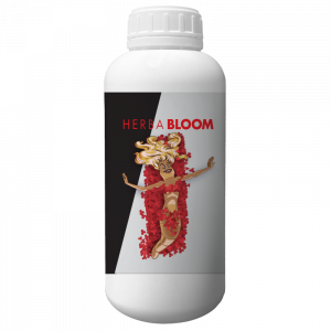 BLOOM  - Best Per Colori intensi Acids